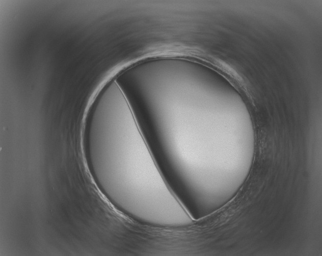 X0000084551472200702230922