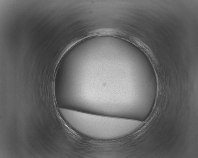 X0000084551473200702230922