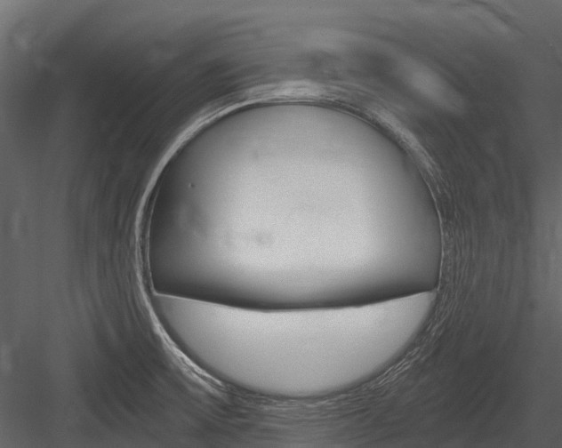 X0000084551475200702230922