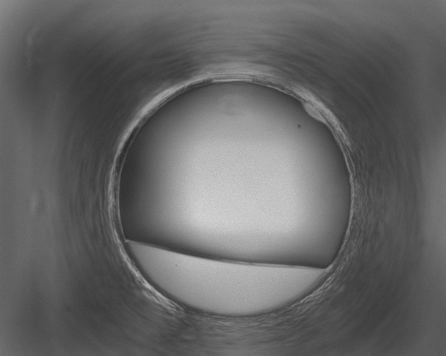 X0000084551477200702230922