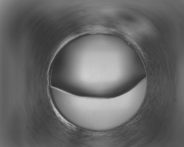 X0000084551479200702230922