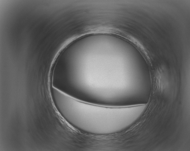 X0000084551480200702230922