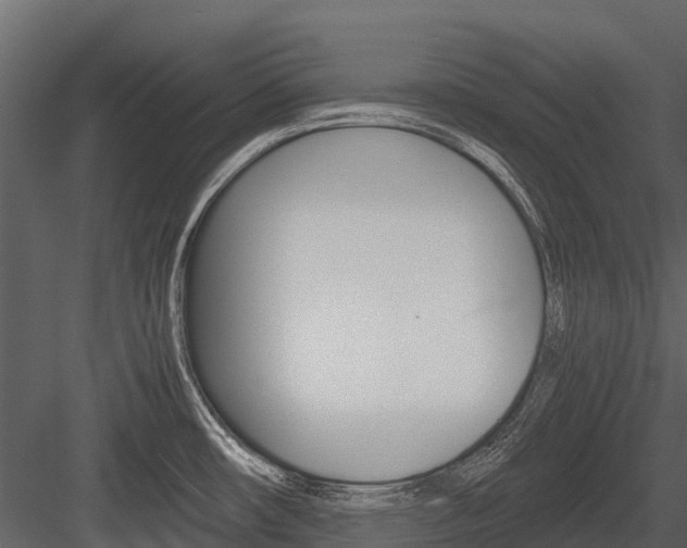 X0000084551482200702230922