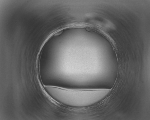 X0000084551483200702230922