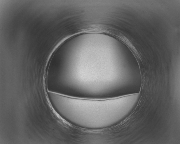 X0000084551484200702230922