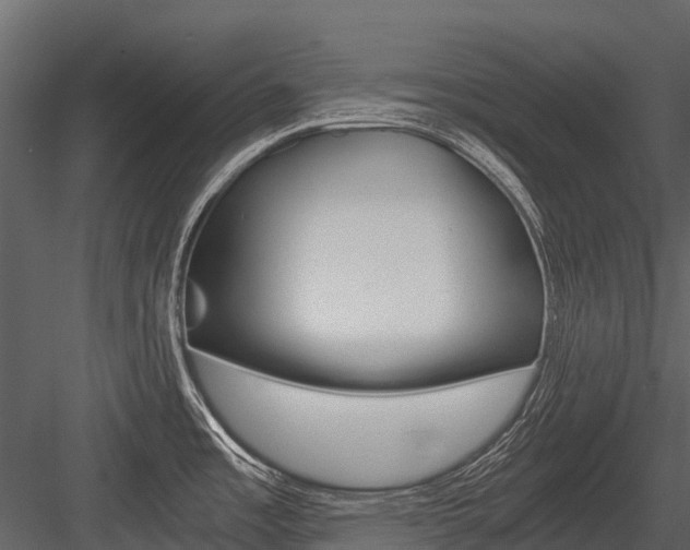 X0000084551485200702230922