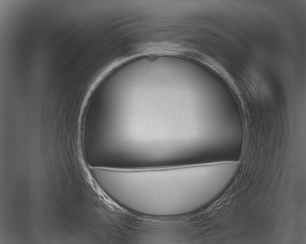X0000084551488200702230922