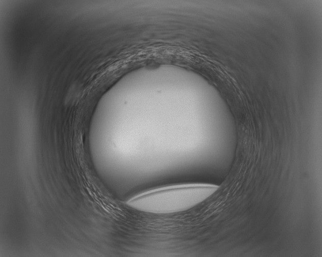 X0000084551489200702230921