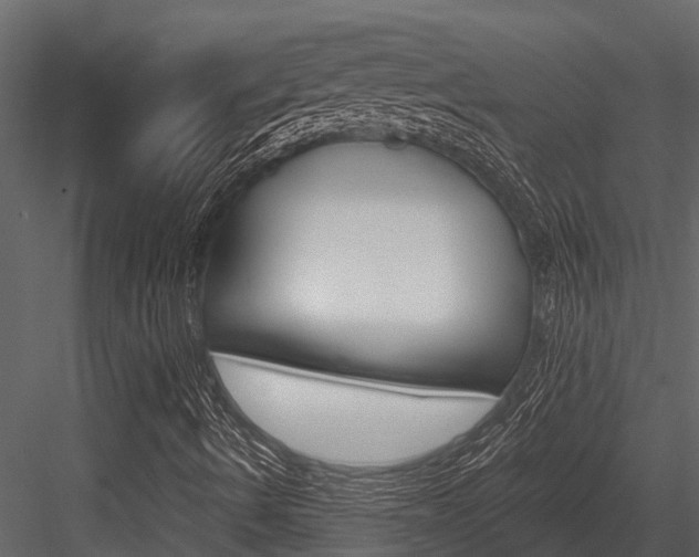 X0000084551490200702230921