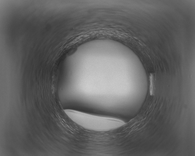 X0000084551491200702230921