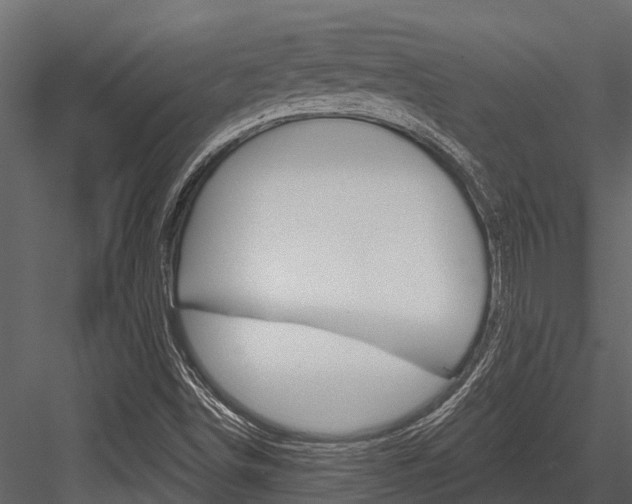 X0000084551498200702230921
