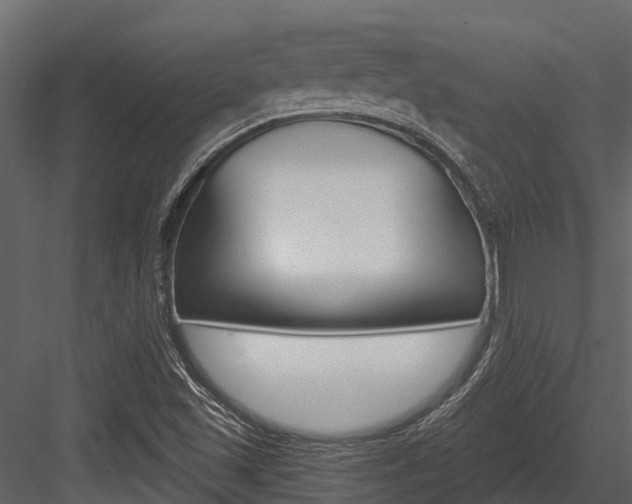 X0000084551501200702230921