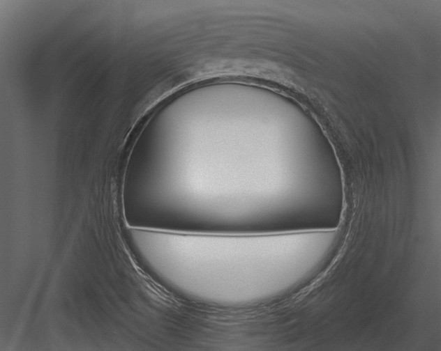 X0000084551505200702230921