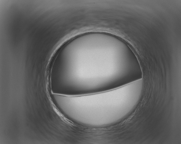 X0000084551511200702230921