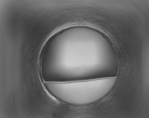 X0000084551519200702230921