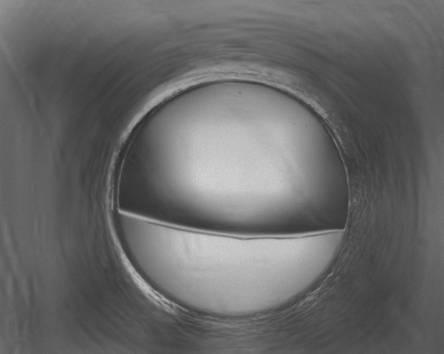 X0000084551523200702230921