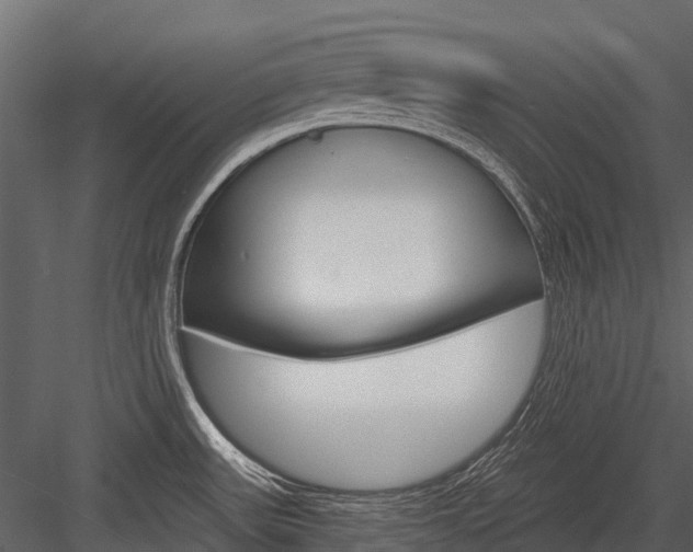 X0000084551531200702230921
