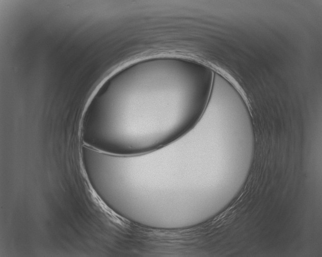 X0000084551532200702230921