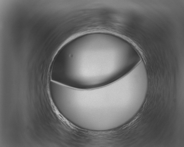 X0000084551534200702230921