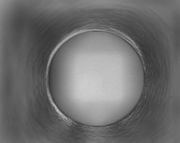 X0000084551536200702230921