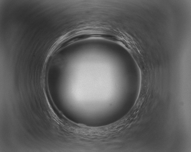 X0000084550003200702231218