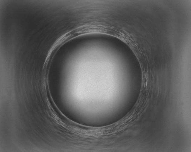 X0000084550004200702231218
