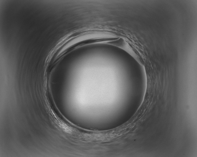 X0000084550005200702231217