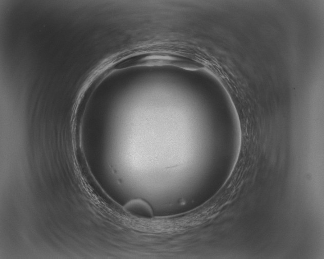X0000084550006200702231217