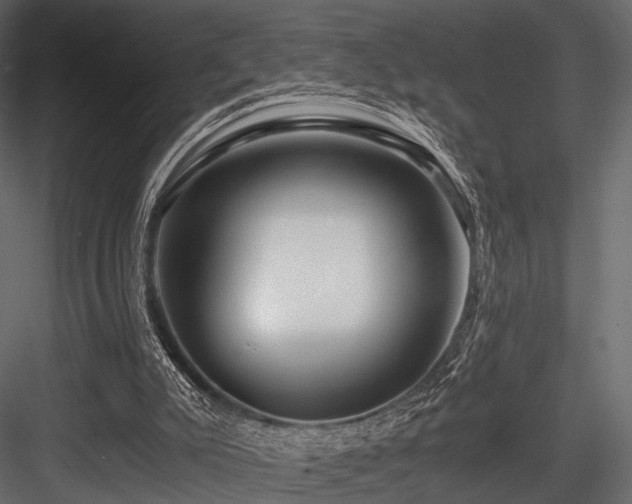 X0000084550007200702231217