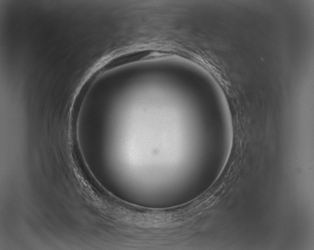 X0000084550008200702231217