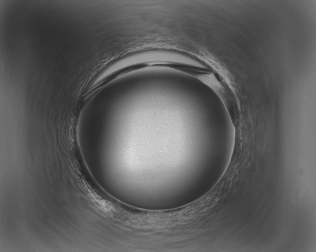 X0000084550009200702231217