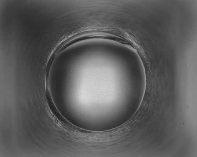 X0000084550011200702231217
