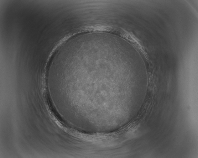 X0000084550012200702231217