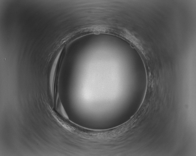 X0000084550013200702231217