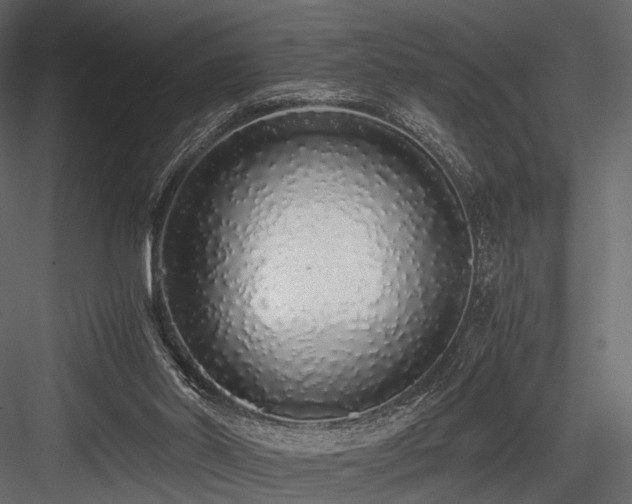 X0000084550014200702231217