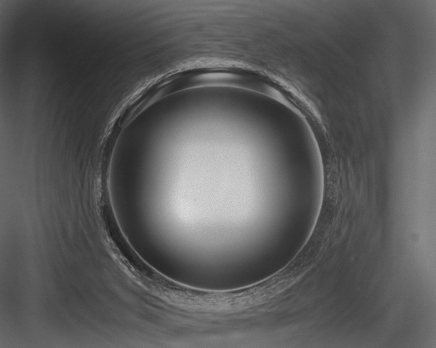 X0000084550015200702231217