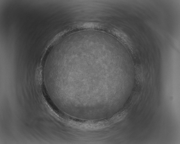 X0000084550016200702231217