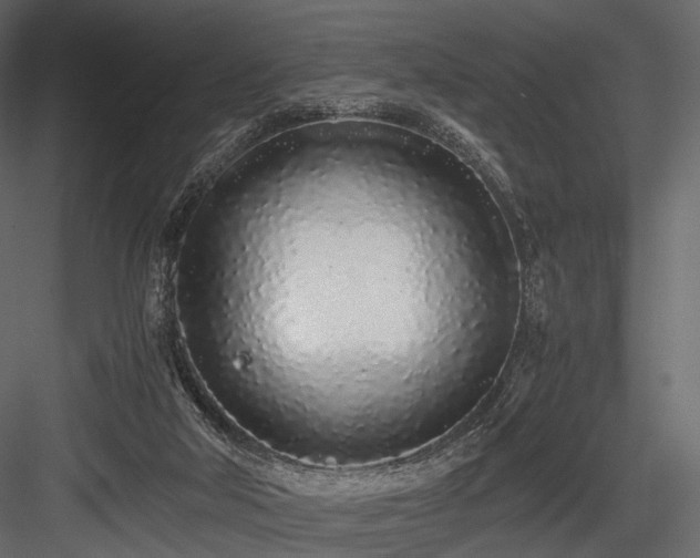 X0000084550018200702231217