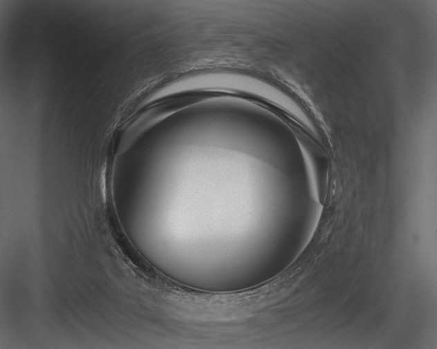 X0000084550019200702231217