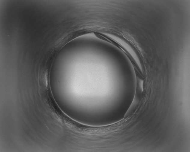 X0000084550021200702231217