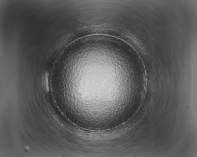 X0000084550022200702231217