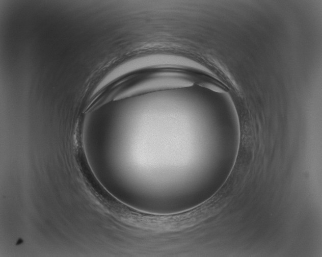 X0000084550023200702231217