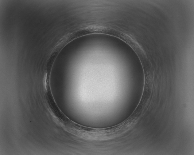 X0000084550024200702231217