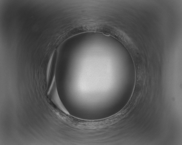 X0000084550025200702231217