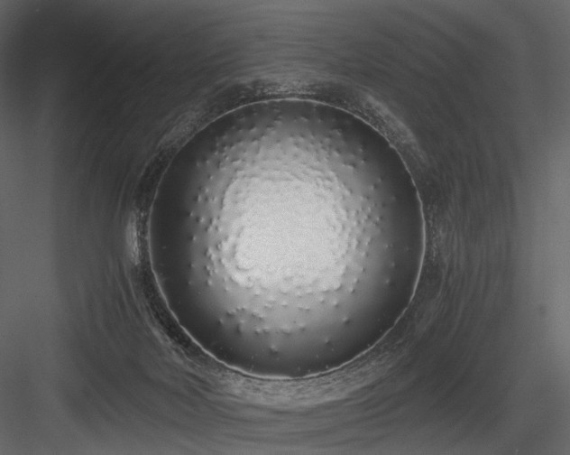 X0000084550026200702231217