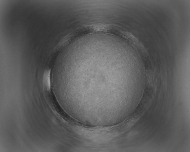 X0000084550028200702231217