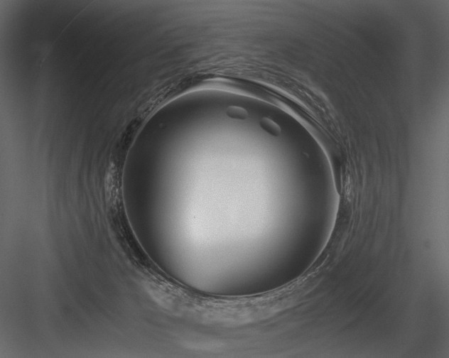 X0000084550029200702231217