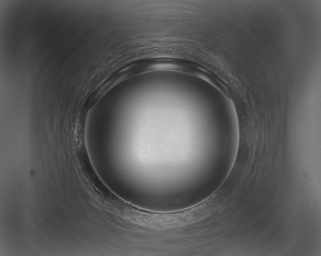 X0000084550031200702231217