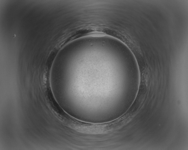 X0000084550032200702231217