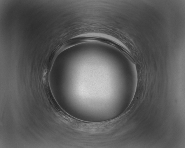 X0000084550033200702231217